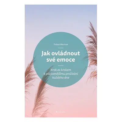 Jak ovládnout své emoce - Thibaut Meurisse