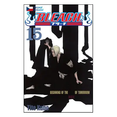 Bleach 15 - Tite Kubo