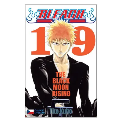 Bleach 19 - Tite Kubo