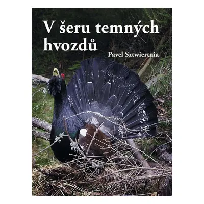 V šeru temných hvozdů - Pavel Sztwiertnia