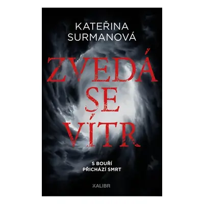 Zvedá se vítr - Kateřina Surmanová