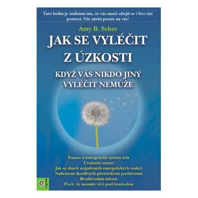 Jak se vyléčit z úzkosti - Amy B. Scher