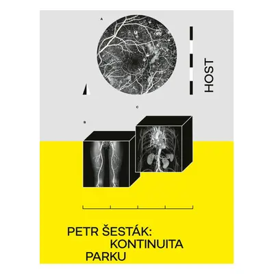 Kontinuita parku - Petr Šesták