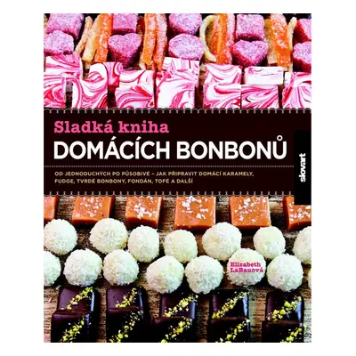 Sladká kniha domácích bonbonů - Elizabeth LaBauová