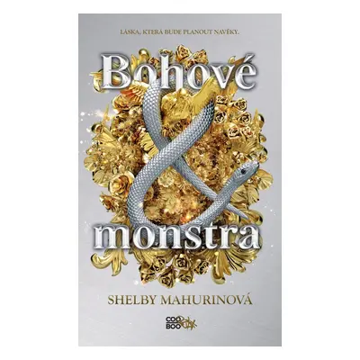 Bohové a monstra - Shelby Mahurin