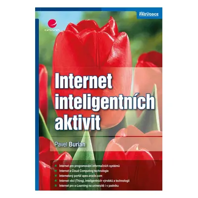 Internet inteligentních aktivit - Pavel Burian