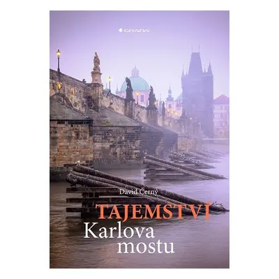 Tajemství Karlova mostu - David Černý