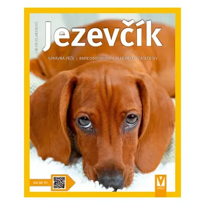 Jezevčík - Leni Fiedelmeierová