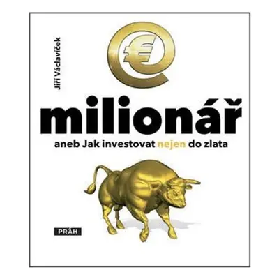 E - Milionář - Jiří Václavíček