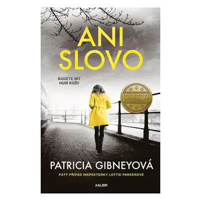 Ani slovo - Patricia Gibney