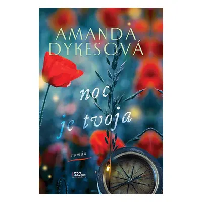 Noc je tvoja - Amanda Dykes