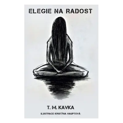 Elegie na radost - Tomáš Kavka