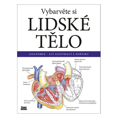 Vybarvěte si lidské tělo - Autor Neuveden