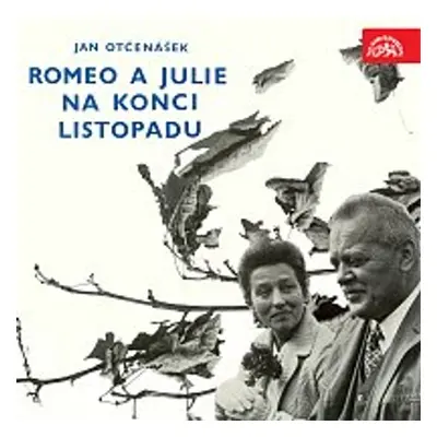 Romeo a Julie na konci listopadu - Jan Otčenášek