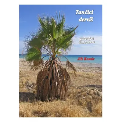 Tančící derviš - Jiří Kostúr