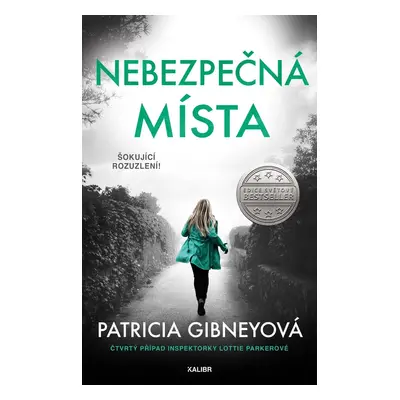 Nebezpečná místa - Patricia Gibney