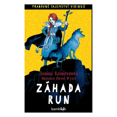 Záhada run - Janina Ramirezová