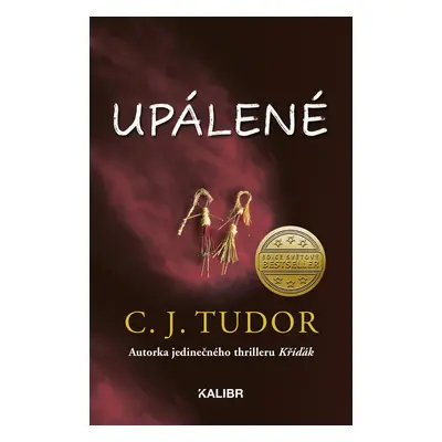 Upálené - C. J. Tudor