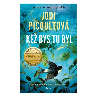 Kéž bys tu byl - Jodi Picoult