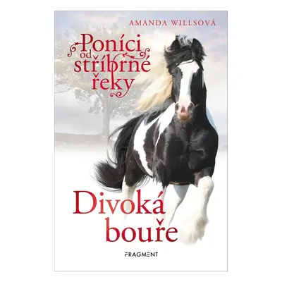 Poníci od stříbrné řeky – Divoká bouře - Amanda Willsová