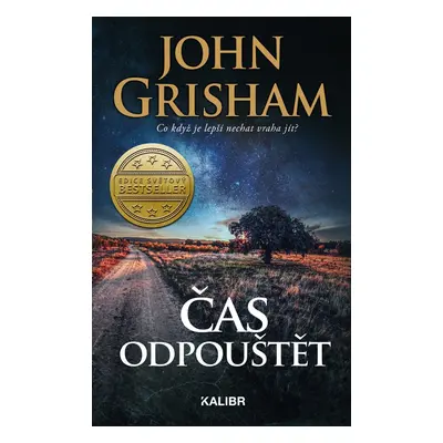 Čas odpouštět - John Grisham