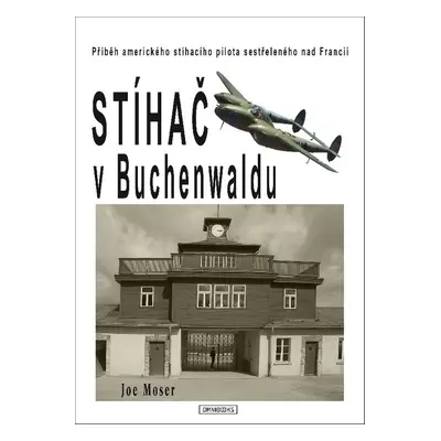 Stíhač v Buchenwaldu - Joseph F. Moser