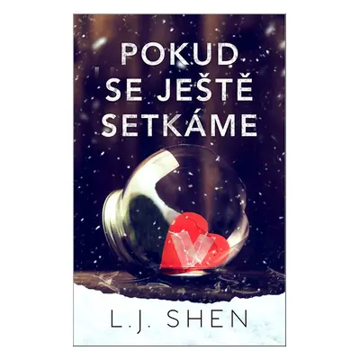 Pokud se ještě setkáme - L. J. Shen