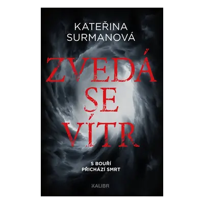 Zvedá se vítr - Kateřina Surmanová