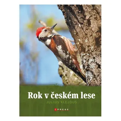 Rok v českém lese - Kolektiv