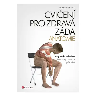 Cvičení pro zdravá záda - anatomie - Dr. Philip Striano