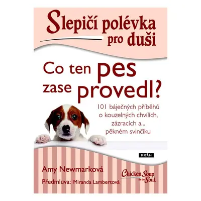 Slepičí polévka pro duši Co ten pes zase provedl? - Ann Newmarková