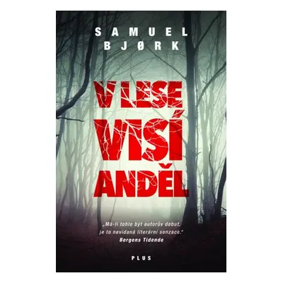 V lese visí anděl - Samuel Bjork