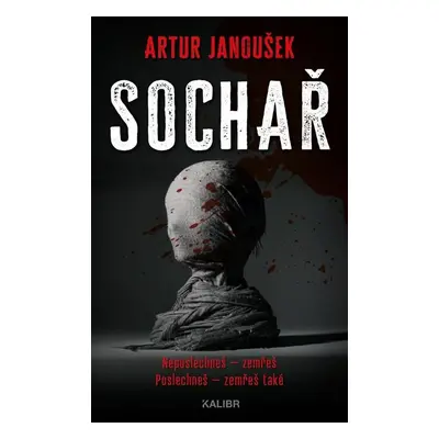 Sochař - Artur Janoušek