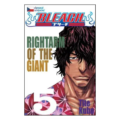 Bleach 5 - Tite Kubo