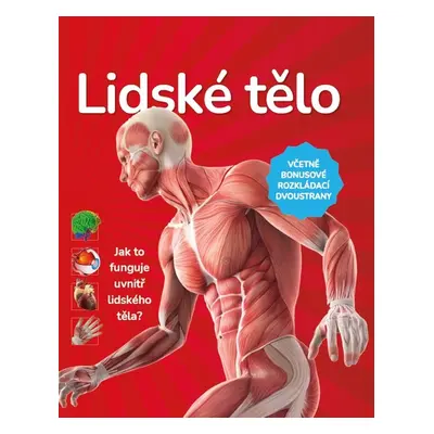 Lidské tělo - Autor Neuveden