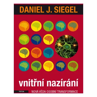 Vnitřní nazírání - Daniel J. Siegel