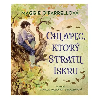 Chlapec, ktorý stratil iskru - Maggie O´Farrell