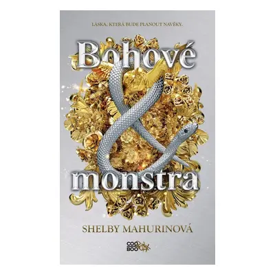 Bohové a monstra - Shelby Mahurin