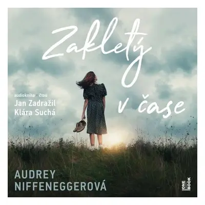 Zakletý v čase - Audrey Niffeneggerová