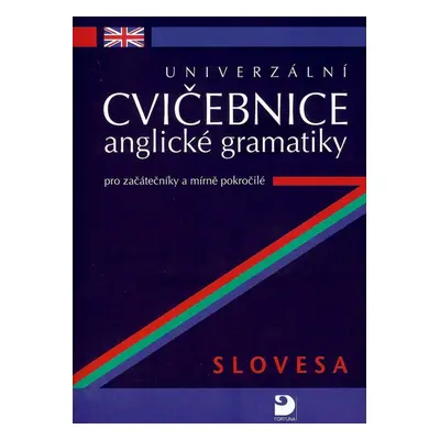 Univerzální cvičebnice anglické gramatiky - Petr Kácha