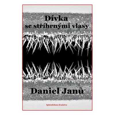 Dívka se stříbrnými vlasy - Daniel Janů