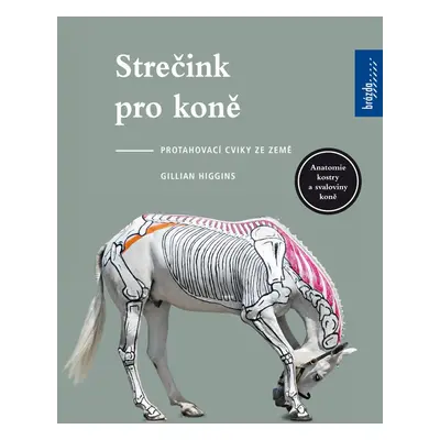 Strečink pro koně - Gillian Higginsová