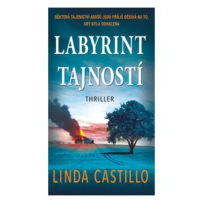 Labyrint tajností - Linda Castillo