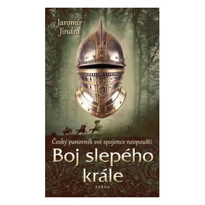 Boj slepého krále - Jaromír Jindra