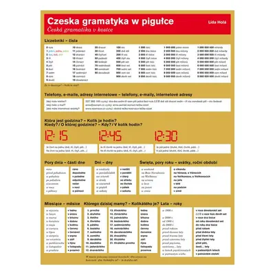 Czeska gramatyka w pigulce - Lída Holá