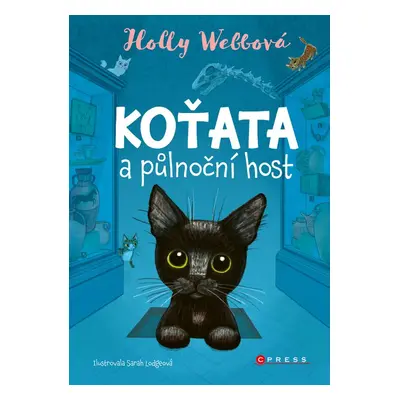 Koťata a půlnoční host - Holly Webbová