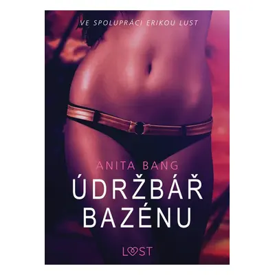 Údržbář bazénu – Sexy erotika - Anita Bang