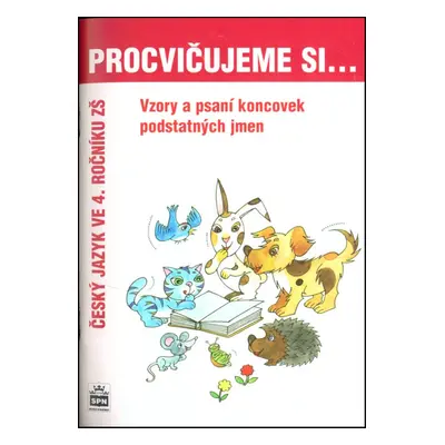 Procvičujeme si Vzory a psaní koncovek podstatných jmen - Lenka Galertová