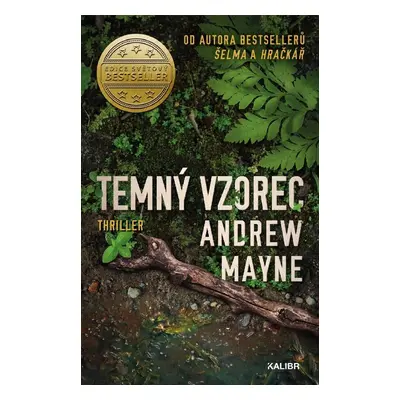 Temný vzorec - Andrew Mayne