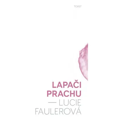 Lapači prachu - Lucie Faulerová